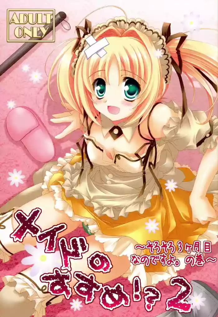 Maid no Susume!? 2 ~Sorosoro 3 kagetsume Nanodesuyo. no Maki~