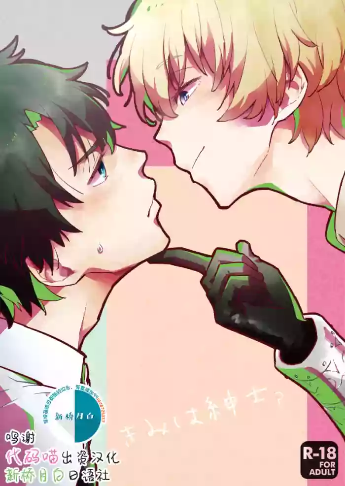 Kimi wa Shinshi? gallery cover