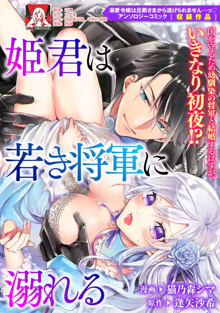 himegimi wa wakaki shōgun ni oboreru | 公主被年輕將軍迷戀