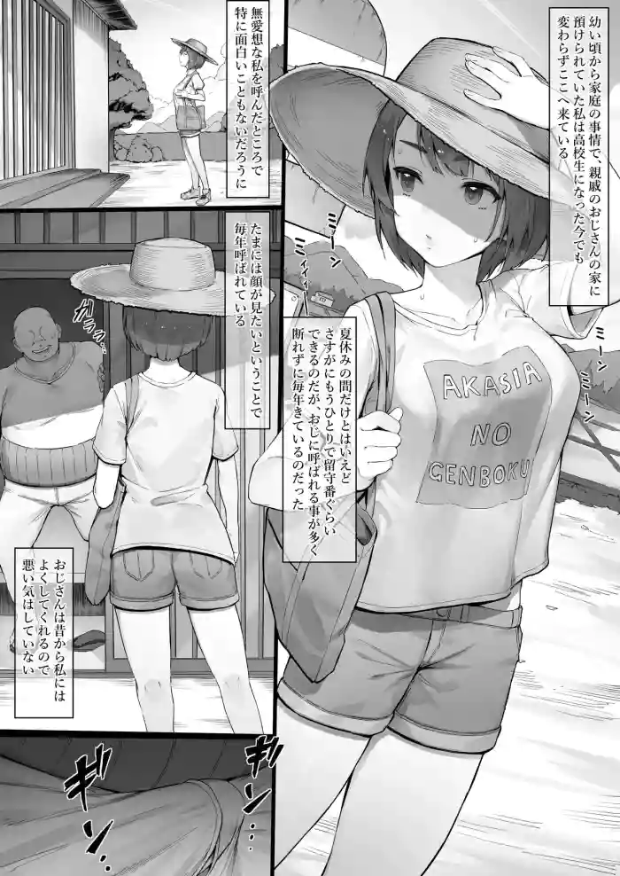Itsumo Dori no Natuyasu Mi