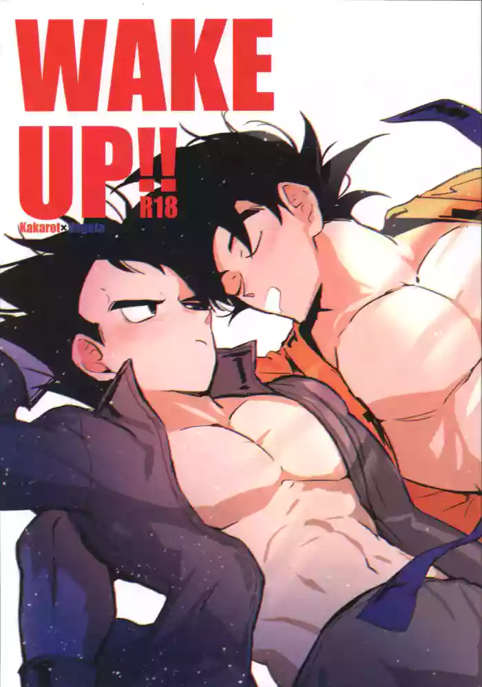 WAKE UP!! gallery cover