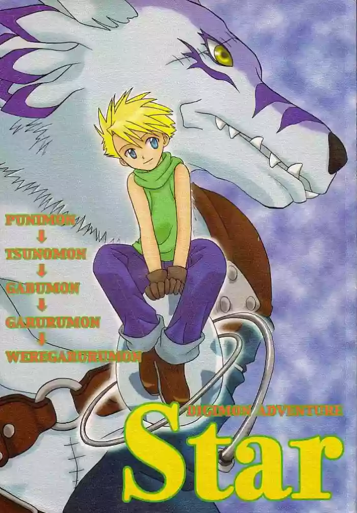 Star gallery cover