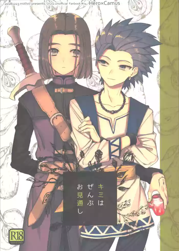 Kimi wa zenbu o Mitooshi gallery cover featuring erik from dragon quest xi