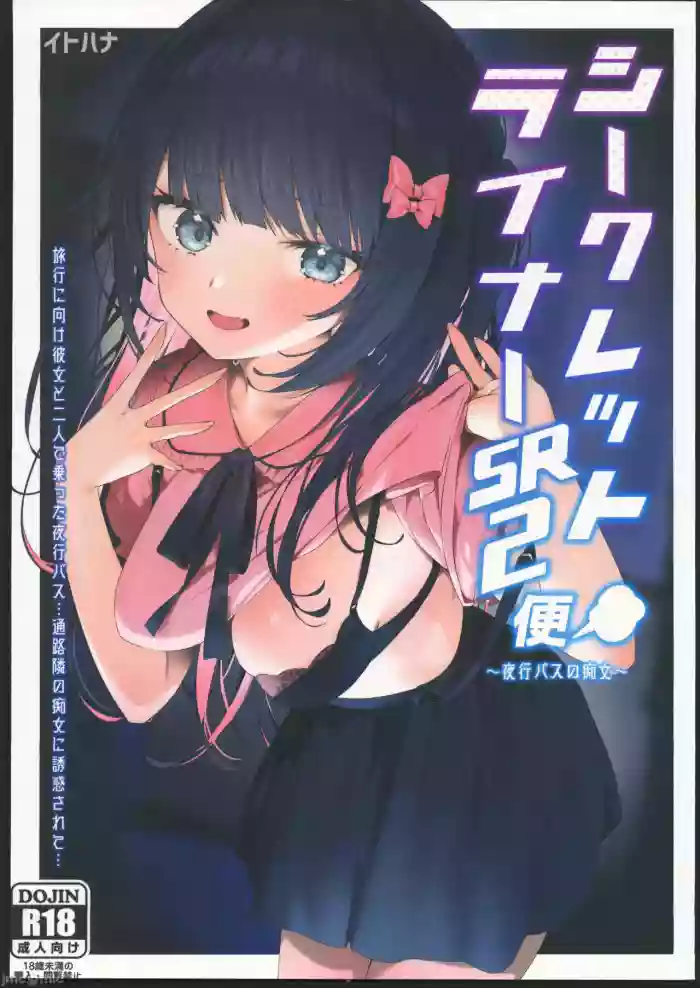 Secret Liner SR2-bin gallery cover from original