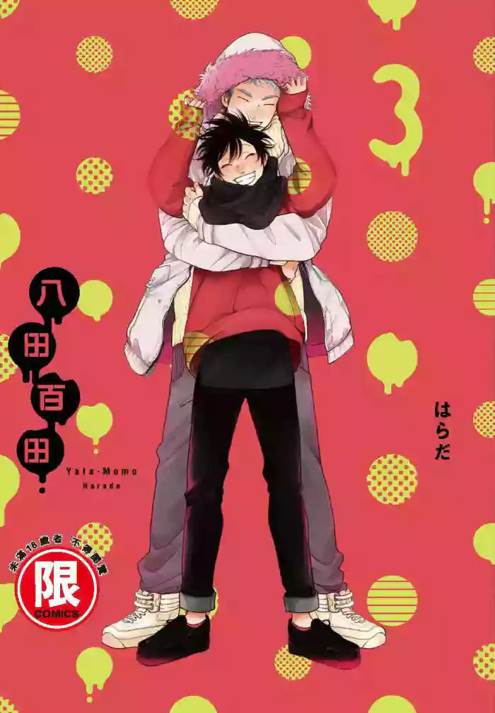 Yatamomo 3 gallery cover