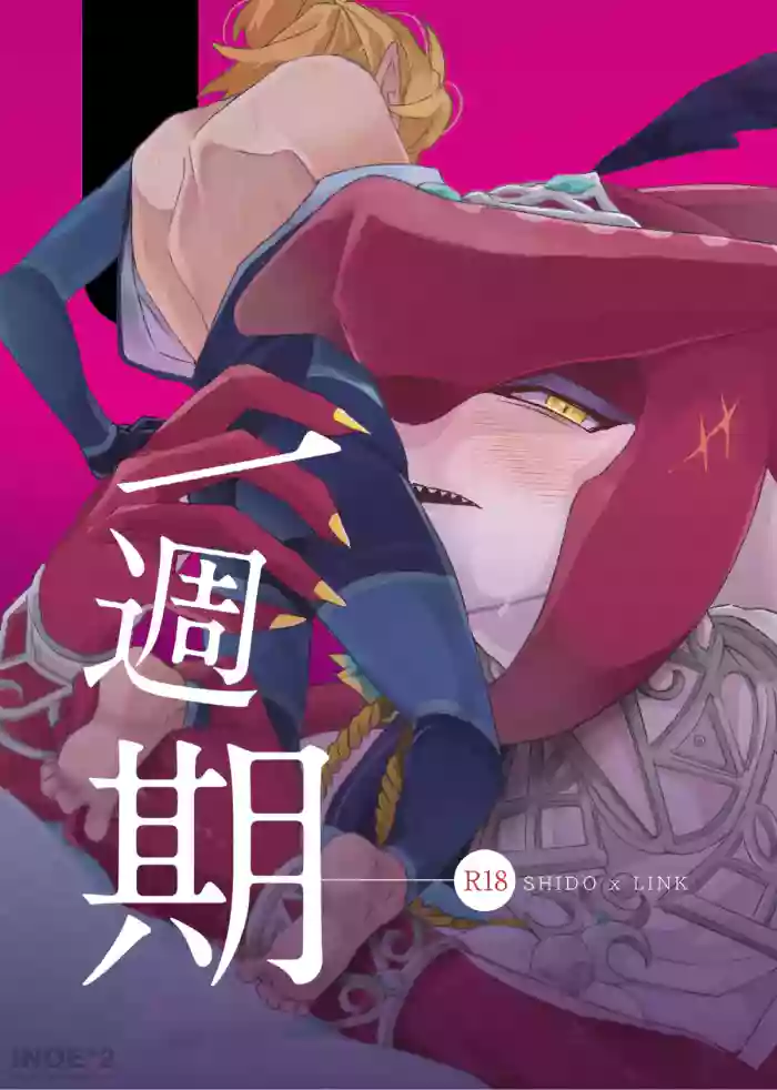 Yi Zhou Qi gallery cover featuring link from the legend of zelda