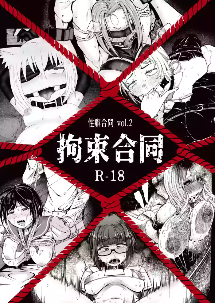 Seiheki Goudou vol.02