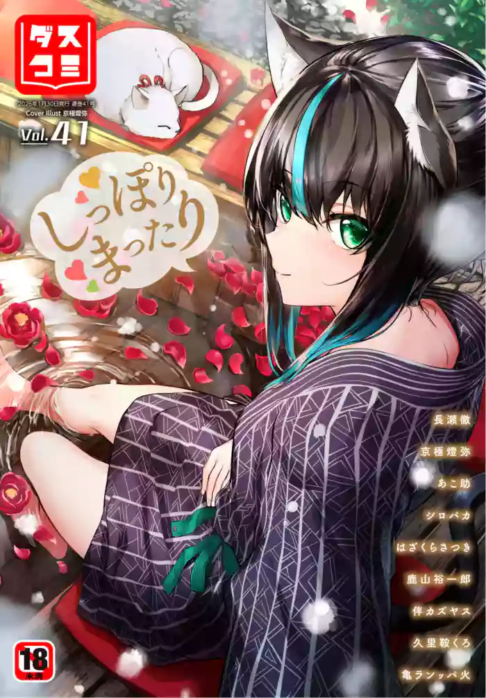 Dascomi Vol.41