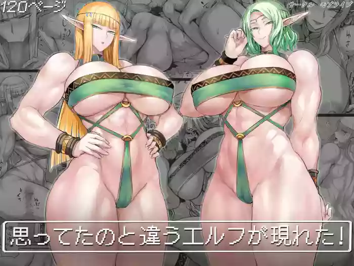 Omotteta no to Chigau Erufu ga Arawareta!