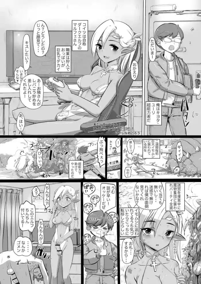 Why Don't You Come? Hibarigaoka Housing Complex!