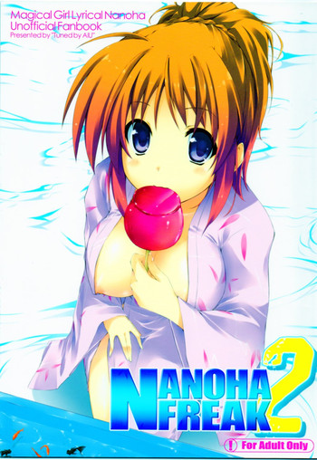 Nanoha Freak 2 gallery cover featuring nanoha takamachi from mahou shoujo lyrical nanoha