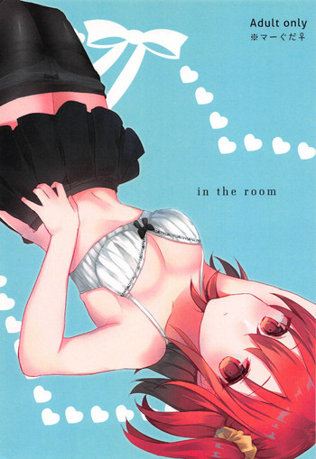in the room gallery cover featuring edmond dantes from fate grand order