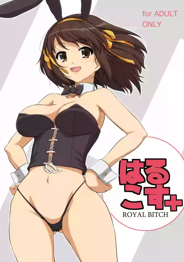 Harucos+
