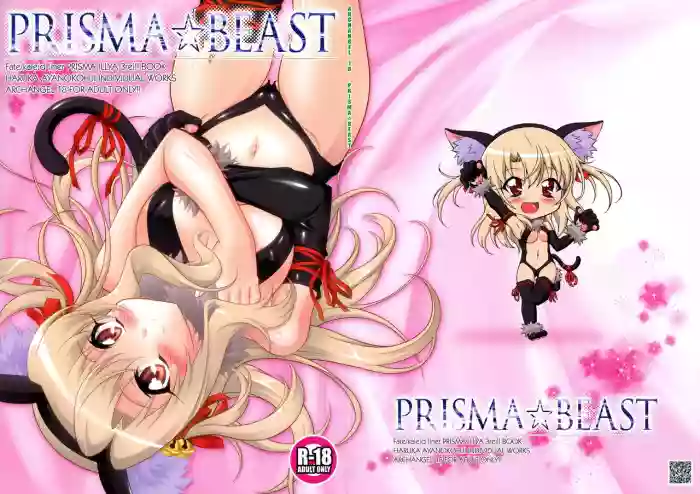PRISMA BEAST gallery cover