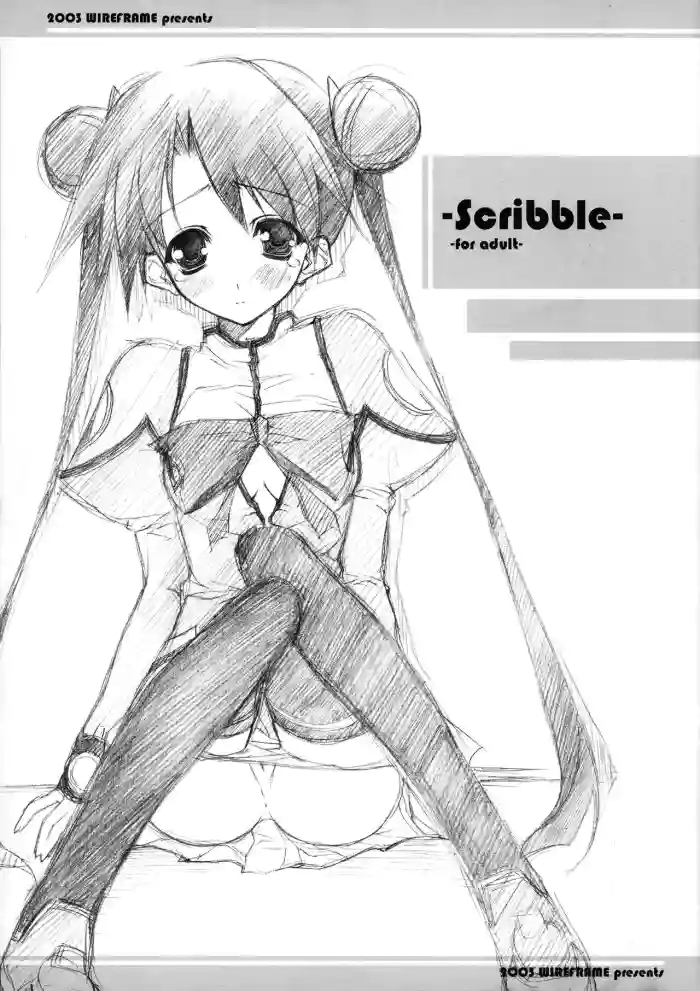 Scribble gallery cover