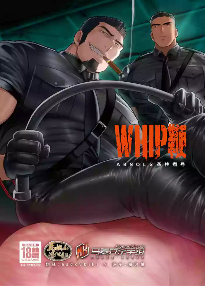 WHIP | 鞭 gallery cover from original