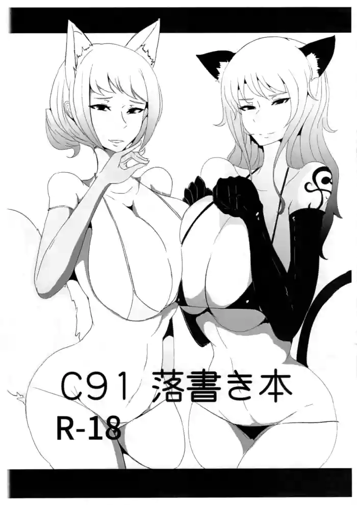 C91 Rakugaki Hon gallery cover featuring princess peach from one piece