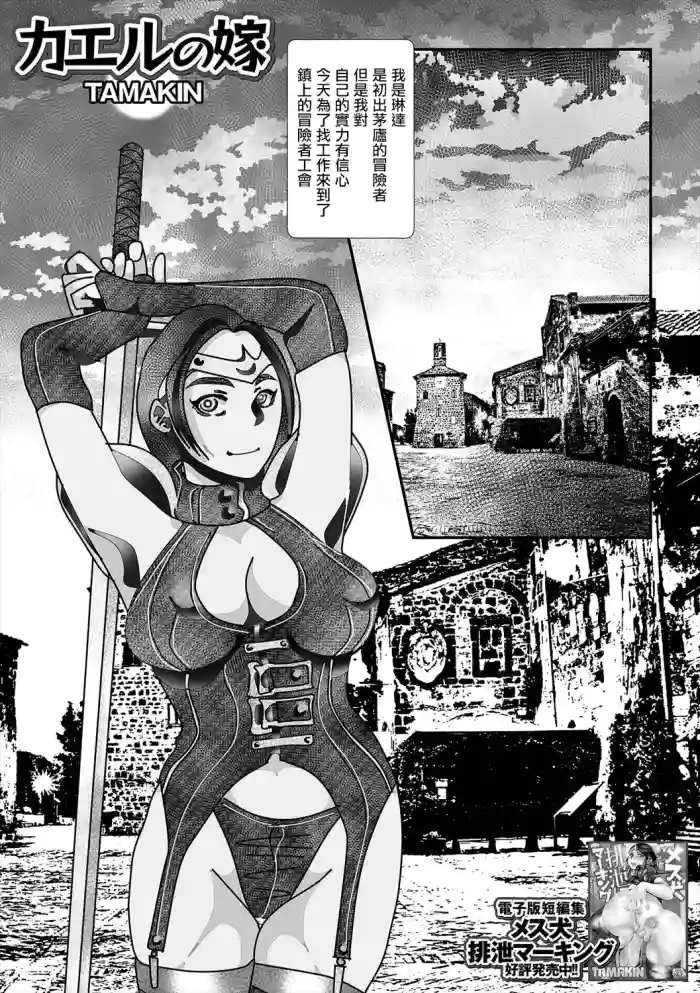 Kaeru no Yome