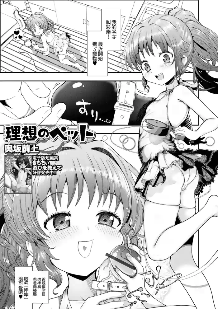 Risou no Pet
