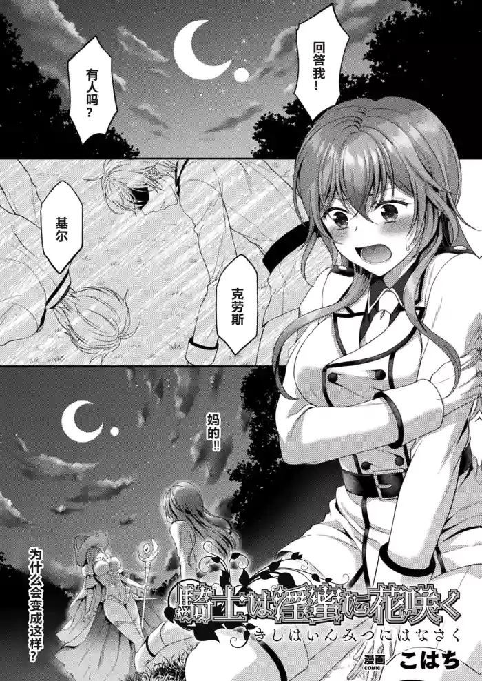 Kishi wa Inmitsu ni Hanasaku