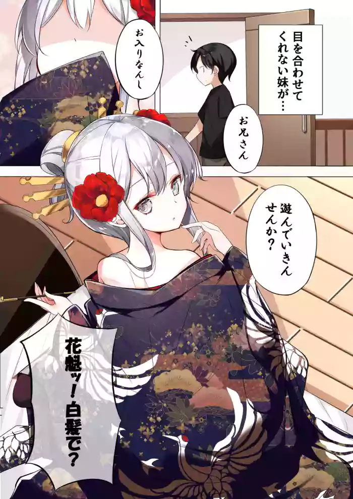 はまけん。花魁の妹が一日一回しか目を合わせてくれない。