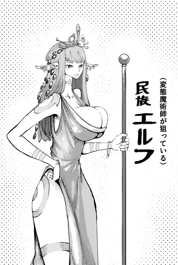 民族エルフ、変態魔術師に狙われる gallery cover from original