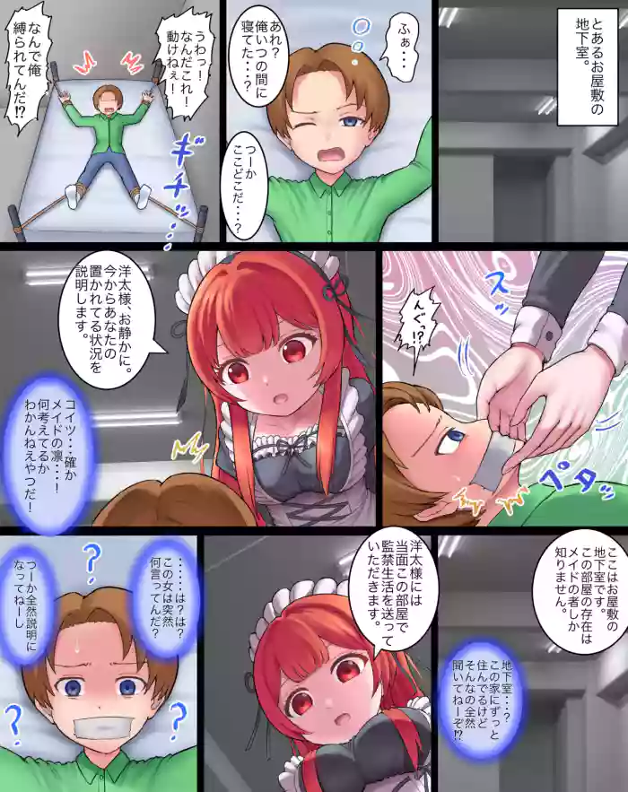 Revenge of the Housekeeper
