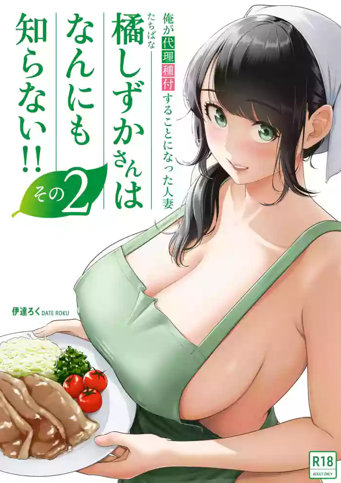 Ore ga Dairi Tanetsuke Suru Koto ni Natta Hitozuma Tachibana Shizuka-san wa Nannimo Shiranai!! Sono 2