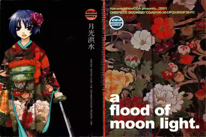 月光洪水 gallery cover featuring shimotsuki kuina from one piece