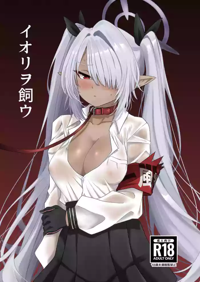 Iori o Kau