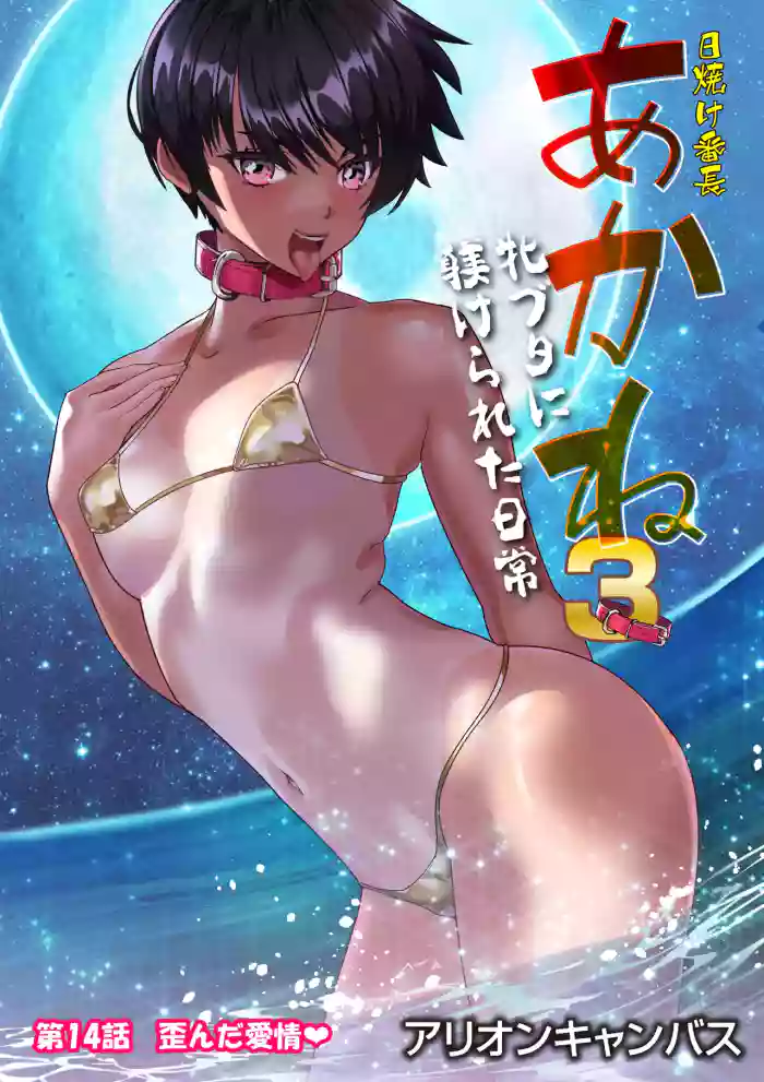 第１４話 歪んだ愛情❤ gallery cover from original