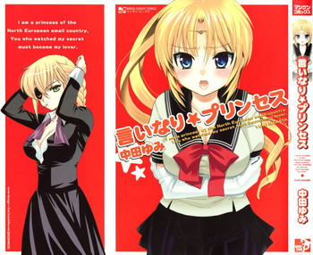 Iinari Princess, gallery cover