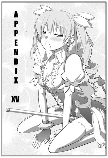 APPENDIX XV gallery cover from dog days