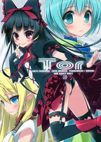 Tor gallery cover