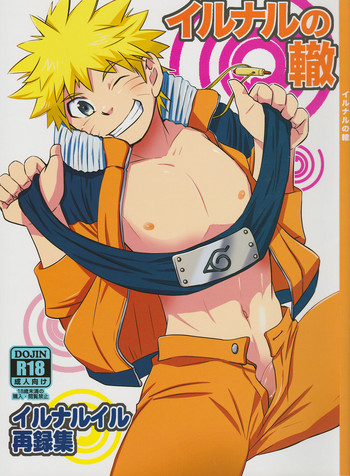 IruNaru no Wadachi gallery cover