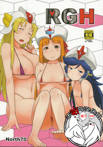 RGH gallery cover