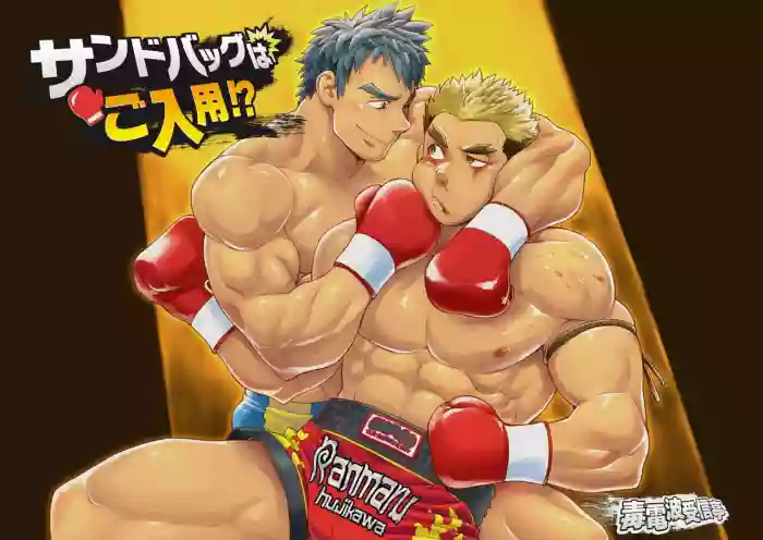 Sandbag wa Go Nyuuyou!?