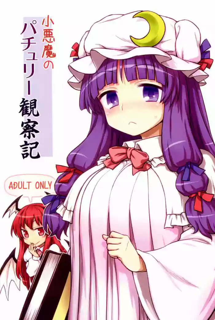 Koakuma no Patchouli Kansatsuki gallery cover