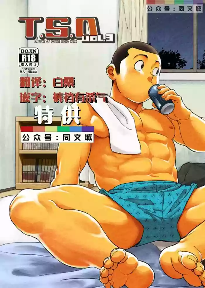 T.S.D Vol. 3 gallery cover
