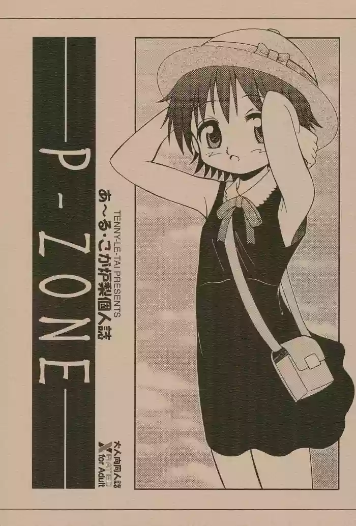P-ZONE gallery cover