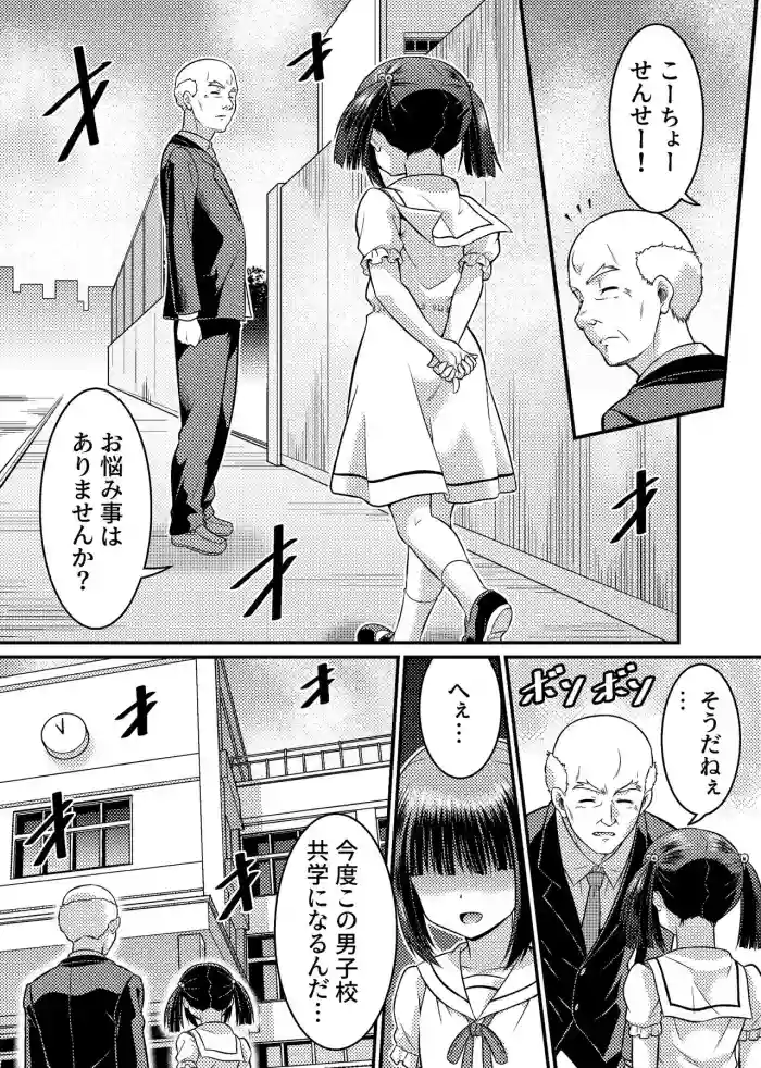 Danshiko ga kyo gakko ni!? Pinto hazure no nazo shojo! + α | Boys School becomes a Mixed-Sex School!? Mystery Girl Out of Focus! + α