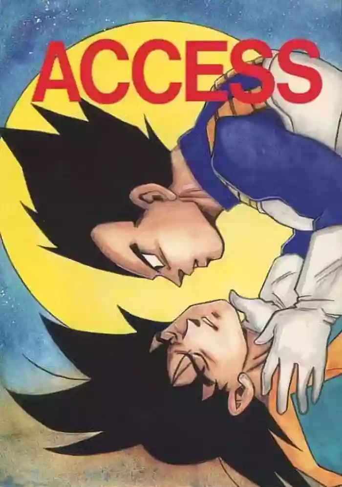 ACCESS gallery cover featuring vegeta from dragon ball