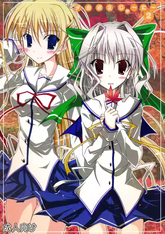 Da Capo 2 Journey 2 gallery cover featuring erika murasaki from da capo