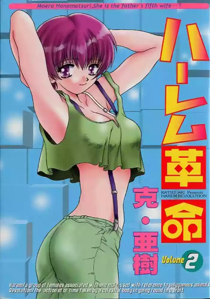 Harem Kakumei 2
