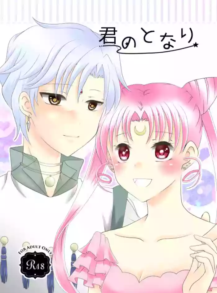 Kiminotonari gallery cover featuring sailor chibi moon from sailor moon
