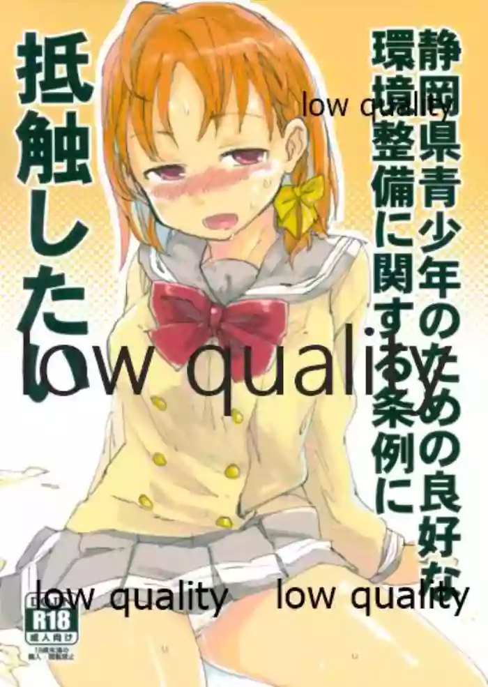 Shizuoka-ken Seishounen no Tame no Ryoukou na Kankyoseibi ni Kansuru Jorei ni Teishoku Shitai