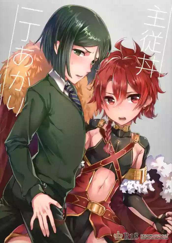 Shujuu Don Icchou Agari gallery cover