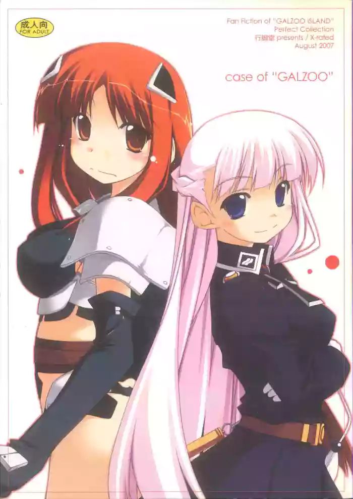 case of "GALZOO" gallery cover from galzoo island