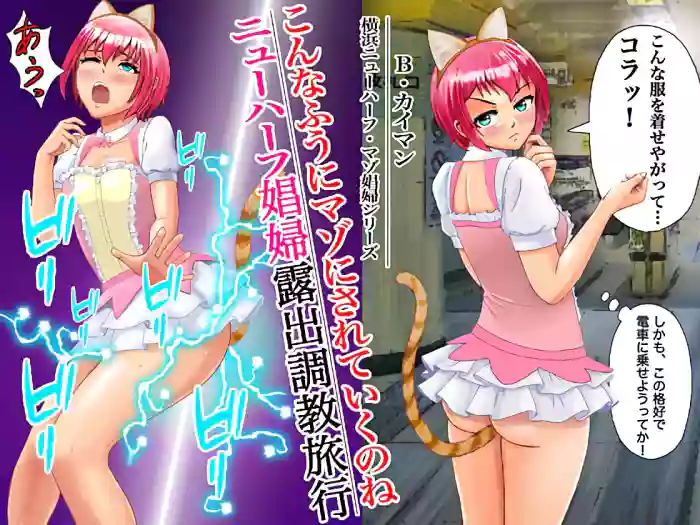 こんなふうにマゾにされていくのね。ニューハーフ娼婦露出調教旅行 gallery cover from original