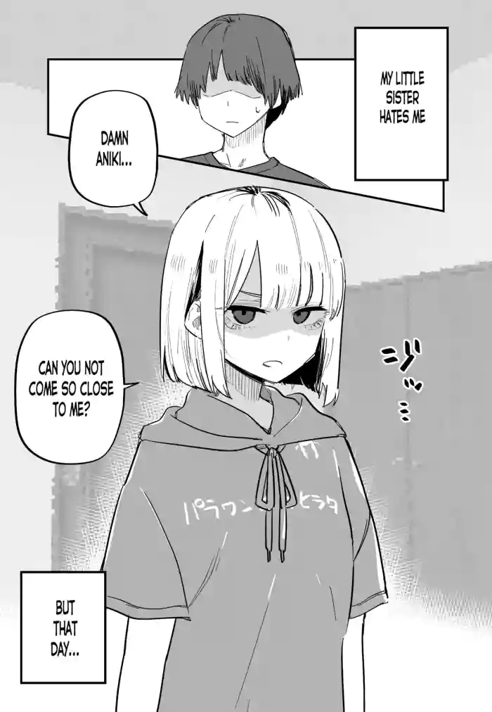 Ore no Koto ga Daikirai na Imouto ga Kowai | My Sister Who Cannot Stand Me Is Scary